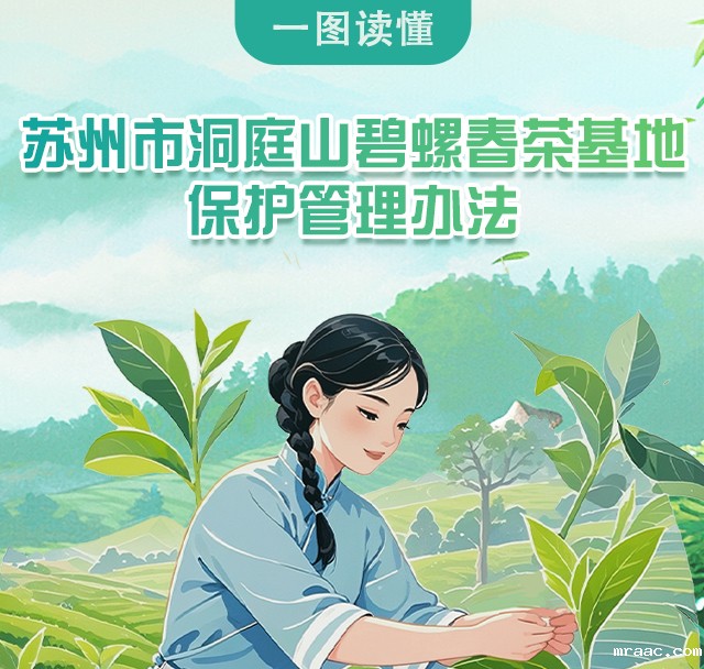 图解：《苏州市洞庭山碧螺春茶基地保护管理办法》