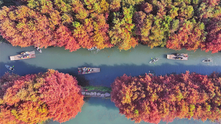 苏城周末好风光 虎丘湿地游人醉